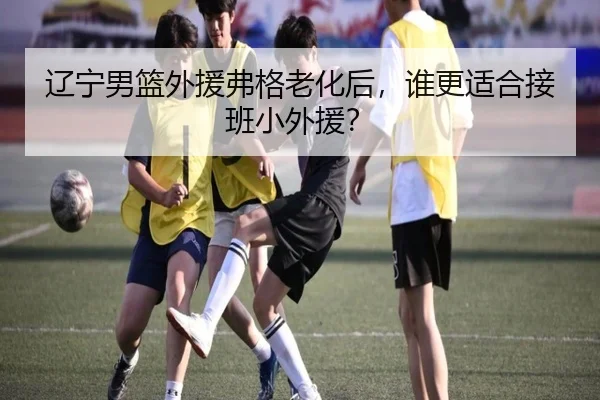 辽宁男篮外援弗格老化后，谁更适合接班小外援？